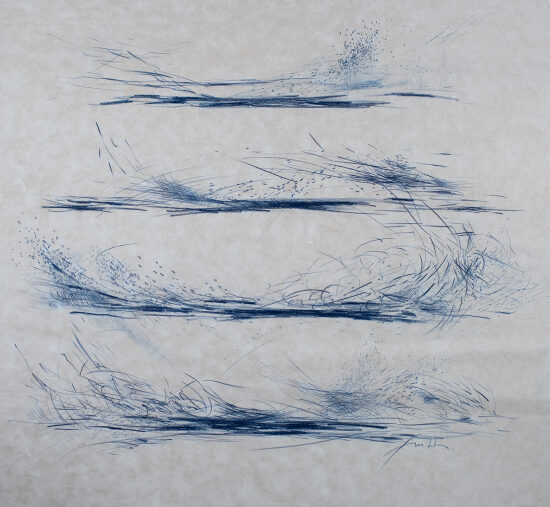 Blue fenaison
