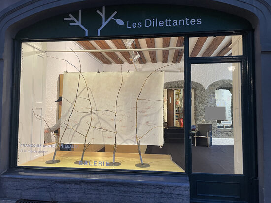 FM_Dilettantes vitrine site.jpg