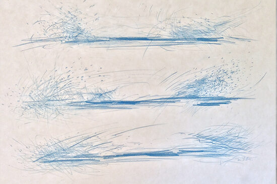 Herbes turquoises