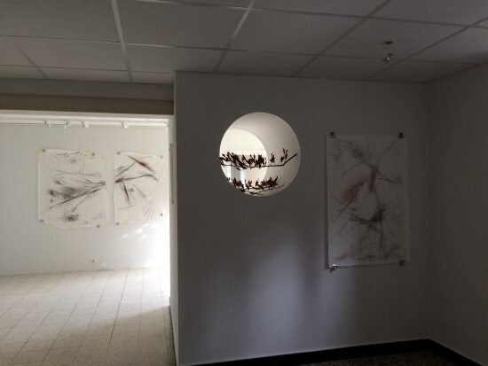 La galerie