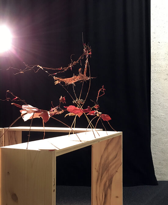 Volatiles installation