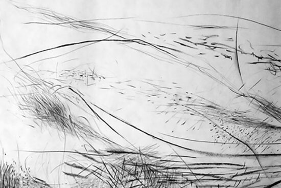 Rivages, détail